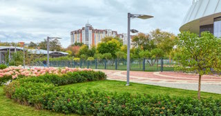 Профессиональное озеленение улиц в Ельце в октябре