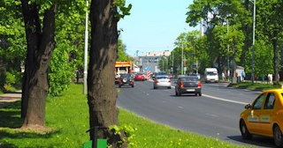 Посадка деревьев и кустарников в Ельце — стоимость от 1232 руб.